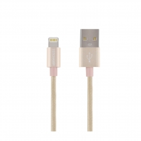 First Champion MFi Lightning Cable - Nylon Braided with Metallic Casing - 120cm - Gold